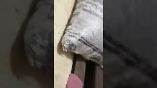 паркур у бабушки