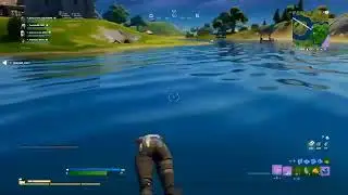 Livezinha de fortnite