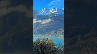 Добавь эту музыку себе в плейлист #nature #wjrec #travel #music #newmusic