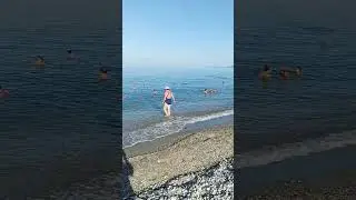 Абхазия. Гагра.
