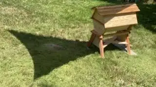 BackYardHive Sun Sail