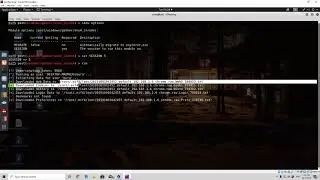 53  Stealing Targets Chrome and WLAN Passwords After Exploit