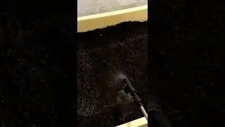 Поливаем травку и червя
