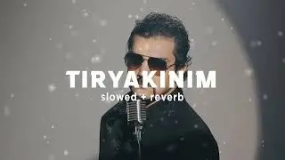 Bayhan - Tiryakinim (Slowed + Reverb) Şarkı Sözleri