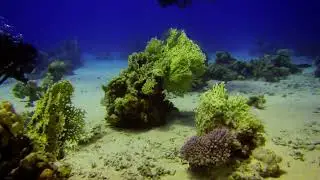 Gotta Abu Ramada, South diving site