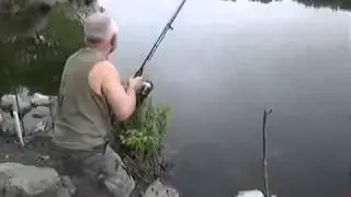Сазан на удочку. Ловля с берега