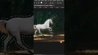 !How to remove ANYTHING from a Photo using Photoshop