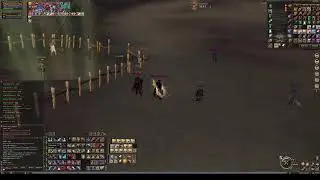 Фан, оли, кмы TheBattle.club
