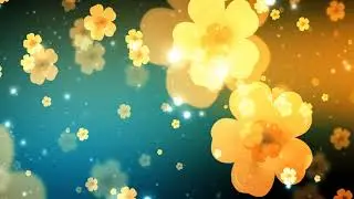 FlowerShow Background Loops