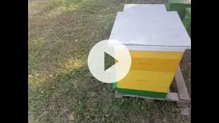 сборка гнезда пчел в зиму очень просто