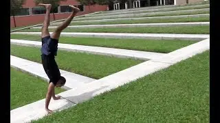 The World's Greatest Hand Walker