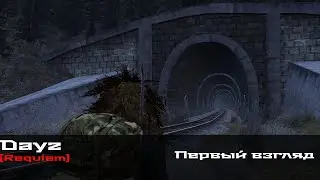 DayZ  [Requiem] Первый взгляд