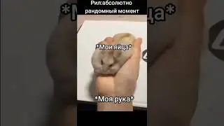 жиза