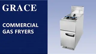 Commercial vertical gas fryer