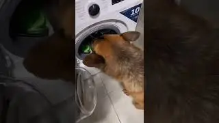 Золотой ребенок❤️😍