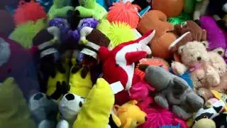 Claw Quest - Wacky wednesday
