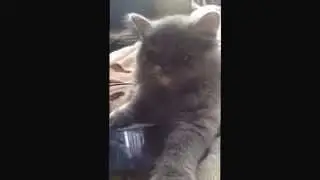 Маруся моя