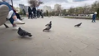 30 minutes in “ Parcul Afgan “ , Riscanovca
