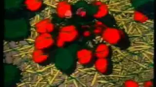 Netlon 1983 Richard Williams Studio Animated Advertisement