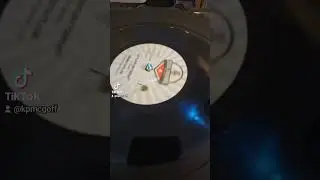 Let's Stay In Tonight - Dennis Taylor
