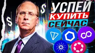 ТОП 5 монет для покупки прямо сейчас