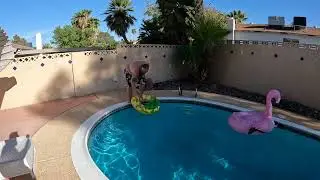 Las Vegas  pool time dive