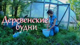 Огородно-рыболовный влог. Жизнь на хуторе.