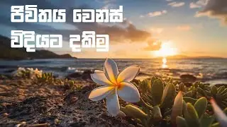 ජිවිතය වෙනස් විදියට දකිමු.| Let's see life differently