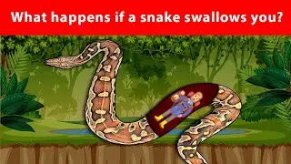 What if the biggest snake swallows you 🐍 How to survive?