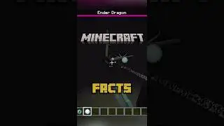 Minecraft Facts That Are COMPLETE LIE!! 🤔 