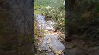 Горный ключ Подземный родник Подземный ключ