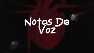Nanpa Básico, Rusherking - Notas De Voz (Letra)