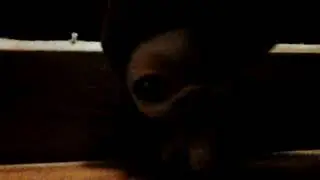 I'M BACK?! Plus where I've been!! (Read Description)