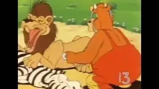 Lion tickled