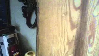 WORLDS CREAKIEST DOOR!