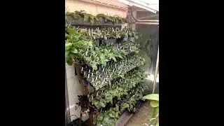 Мало места для растений? Это можно исправить! #опятьСанёк :)