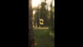 Sound Bath Meditation