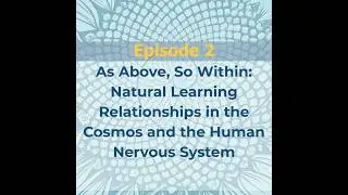 Episode 2-As Above, So Within: NLR in the Cosmos and the Human Nervous System
