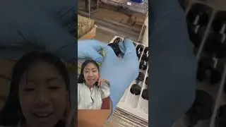 How It's Made: Custom Hair Oil | Prose