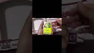 Pokemon 151 Binder Collection Packs #pokemon #pokemontcg #pokemoncards #pokemonscarletandviolet