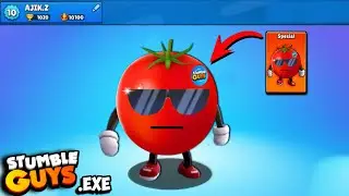 STUMBLE GUYS EXE