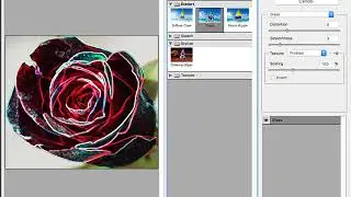 Quick Selection Tool and Filters