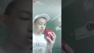 Мои видео из лайки