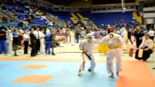 ІV Олимпиада боевых искусств, Koshiki karate 2013