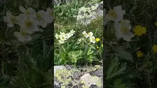 Иремель. День осеннего равноденствия 22 сентября.