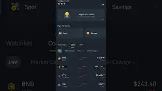HOW TO SWITCH BINANCE LITE TO BINANCE PRO