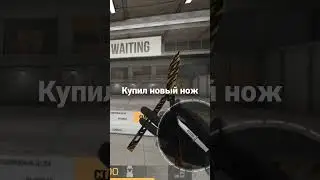 купил бабочку