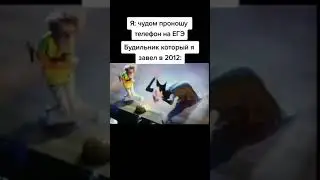 Мем номер 37