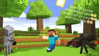Minecraft Survival Could not find a cave . I am a noob at this game