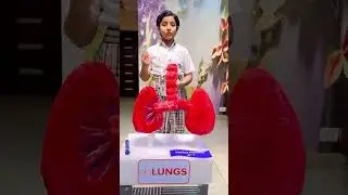 3d working model on lungs with speech on working of Lungs for students #sciencemodel #3dproject
